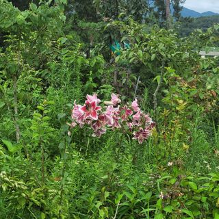 박상춘님의 우리동네 · 동네정보 작성글 사진