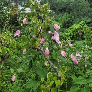 박상춘님의 우리동네 · 동네정보 작성글 사진