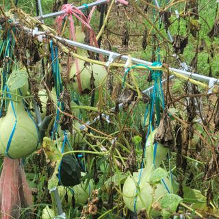 박상춘님의 우리동네 · 동네정보 작성글 사진