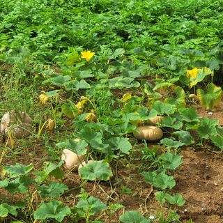 박상춘님의 우리동네 · 동네정보 작성글 사진