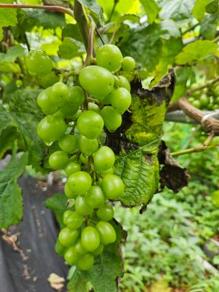 금도끼은도끼님의 작성글 사진