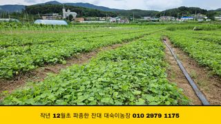 조병대님의 기타작물 · 자유게시판 작성글 사진