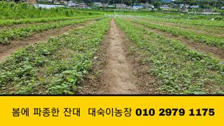 조병대님의 기타작물 · 자유게시판 작성글 사진