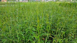 조병대님의 기타작물 · 자유게시판 작성글 사진