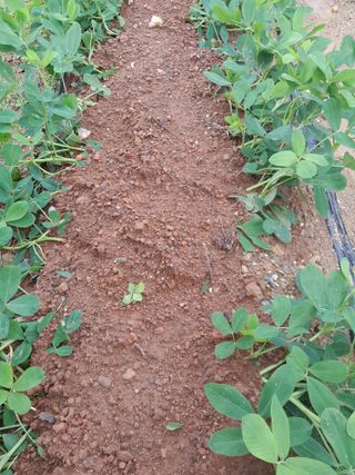 정상훈님의 콩 · 자유게시판 작성글 사진