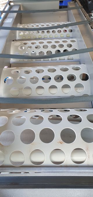 김동현님의 토마토·저장•가공 작성글 사진