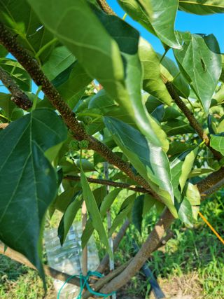 쭈니팜 님의 자유주제 · 자유게시판 작성글 사진