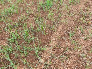 남재님의 작성글 사진