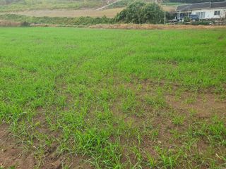 남재님의 작성글 사진