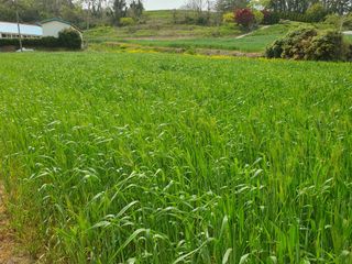 남재님의 작성글 사진