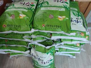 남재님의 작성글 사진