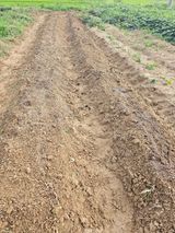 팜모닝 자유주제·자유게시판 게시글 이미지