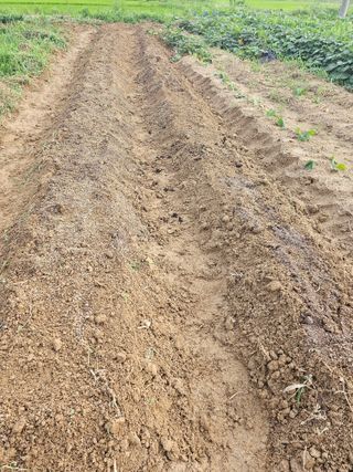 윤창기님의 자유주제 · 자유게시판 작성글 사진