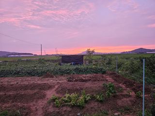윤창기님의 자유주제 · 자유게시판 작성글 사진