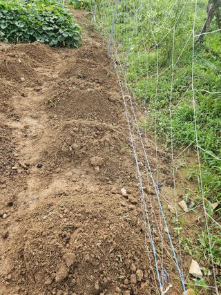 윤창기님의 자유주제 · 자유게시판 작성글 사진