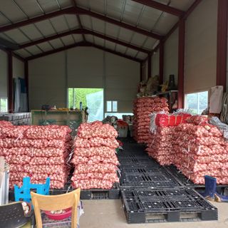 마늘사랑님의 마늘 · 영농일지 작성글 사진