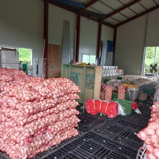 마늘사랑님의 마늘 · 영농일지 작성글 사진