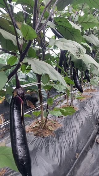 박명호님의 자유주제 · 자유게시판 작성글 사진