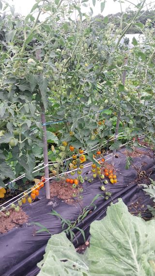 박명호님의 자유주제 · 자유게시판 작성글 사진