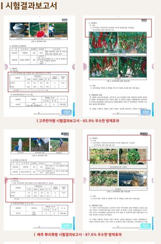 대산농사대장님의 작성글 사진