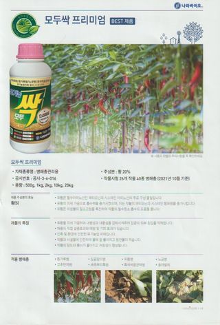 대산농사대장님의 작성글 사진