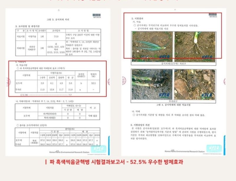 대산농사대장님의 장터 판매 상품 [모두싹 500ml세트  고급 붕산칼슘 무료증정] 첨부 사진