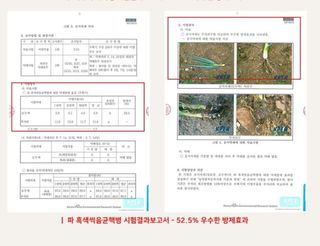 대산농사대장님의 작성글 사진