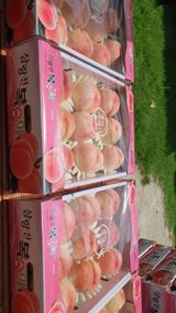 팜모닝 고구마·자유게시판 게시글 이미지