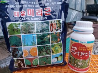 김명복님의 고추 · 비료•농약 작성글 사진