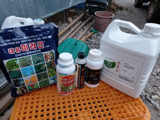 김명복님의 고추 · 비료•농약 작성글 사진