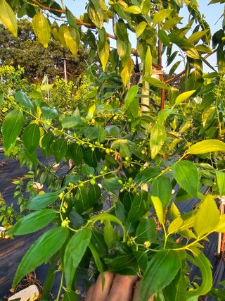 망운천지향토농원님의 자유주제 · 자유게시판 작성글 사진