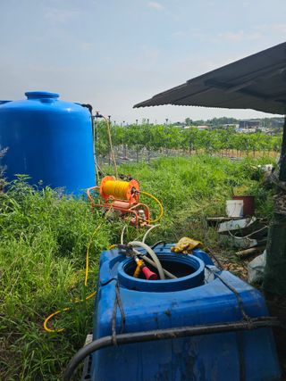 망운천지향토농원님의 자유주제 · 자유게시판 작성글 사진