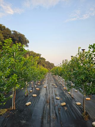 망운천지향토농원님의 자유주제 · 자유게시판 작성글 사진