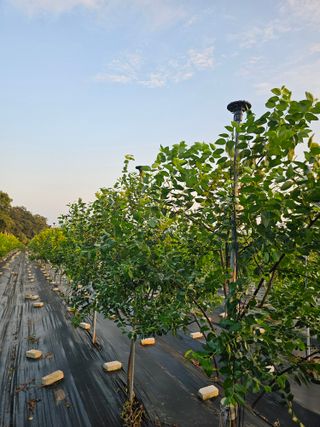 망운천지향토농원님의 자유주제 · 자유게시판 작성글 사진