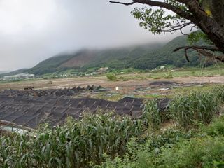 이영수님의 수해 농가 응원 같이해요 · 참여 작성글 사진