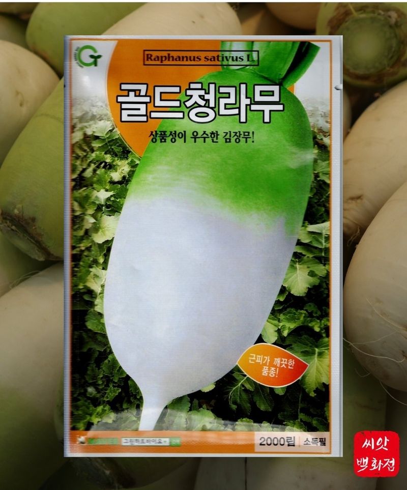 장터 상품 [골드청라무씨앗 종자 2000립 상품성이 우수한 김장무종자 씨앗

] 썸네일