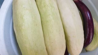 마늘양파참님의 오이 · 자유게시판 작성글 사진