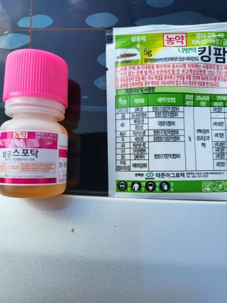 정용학님의 고추 · 병해충상담 작성글 사진