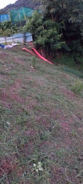 김동주님의 고추 · 영농일지 작성글 사진