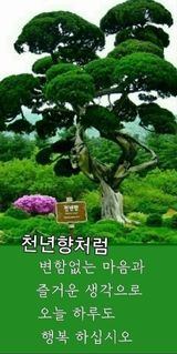 팜모닝 자유주제·자유게시판 게시글 이미지