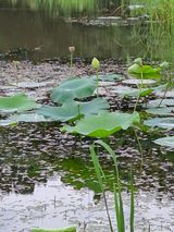 팜모닝 수해 농가 응원 같이해요·참여 게시글 이미지