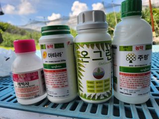 키다리님의 사과 · 영농일지 작성글 사진