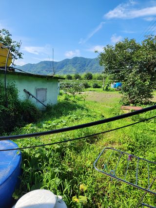 이정찬님의 배 · 영농일지 작성글 사진