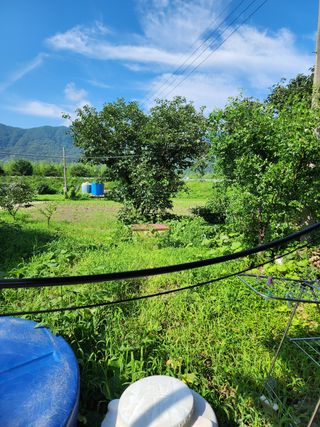 이정찬님의 배 · 영농일지 작성글 사진