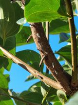 팜모닝 감·자유게시판 게시글 이미지