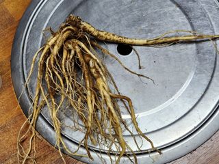 천종현님의 자유주제 · 자유게시판 작성글 사진