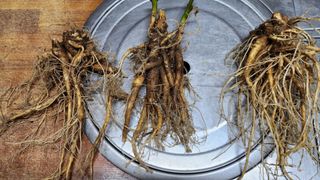 천종현님의 자유주제 · 자유게시판 작성글 사진