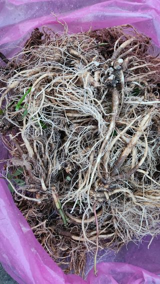 천종현님의 자유주제 · 자유게시판 작성글 사진