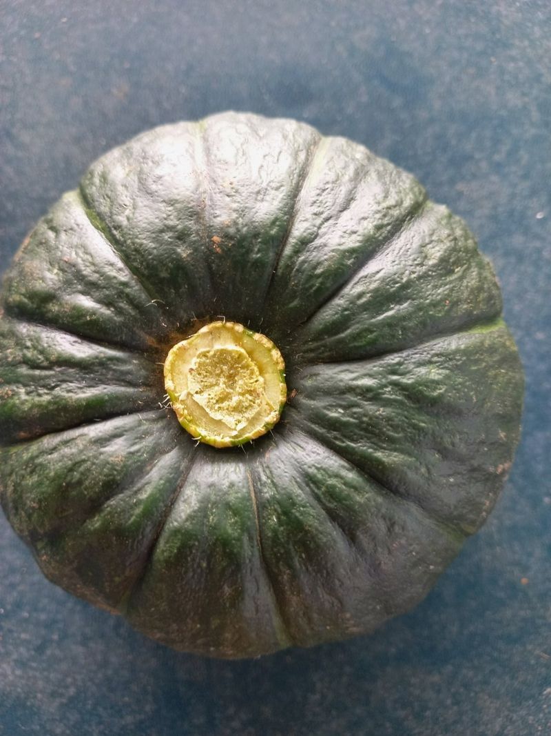 장터 상품 [단호박 10kg] 썸네일