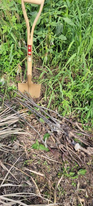 윤석돈님의 배 · 일상 작성글 사진